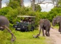South Africa Adventure Safari | Adventure Unbound