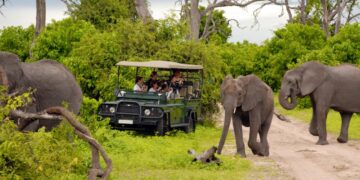 South Africa Adventure Safari | Adventure Unbound