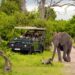 South Africa Adventure Safari | Adventure Unbound