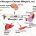 Mounjaro:(Tirzepatide):Potent Once a Week Obesity Injection - Dr ...